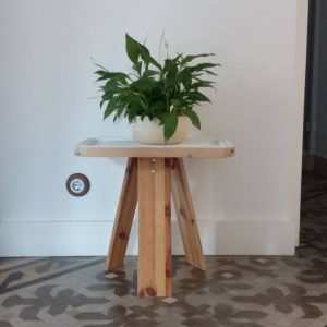 eco-design flower pots in apartment rentals